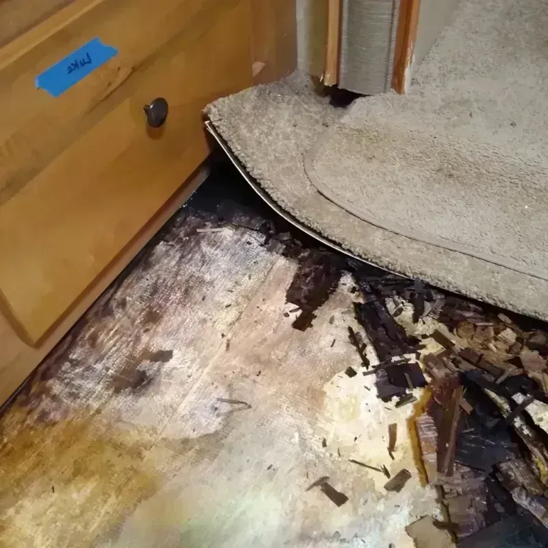 Wood Floor Water Damage in Halifax, NC